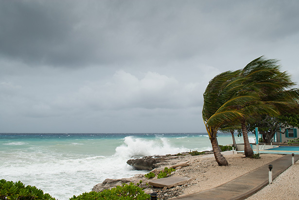 A hurricane is about to batter this caribbean beach hut.